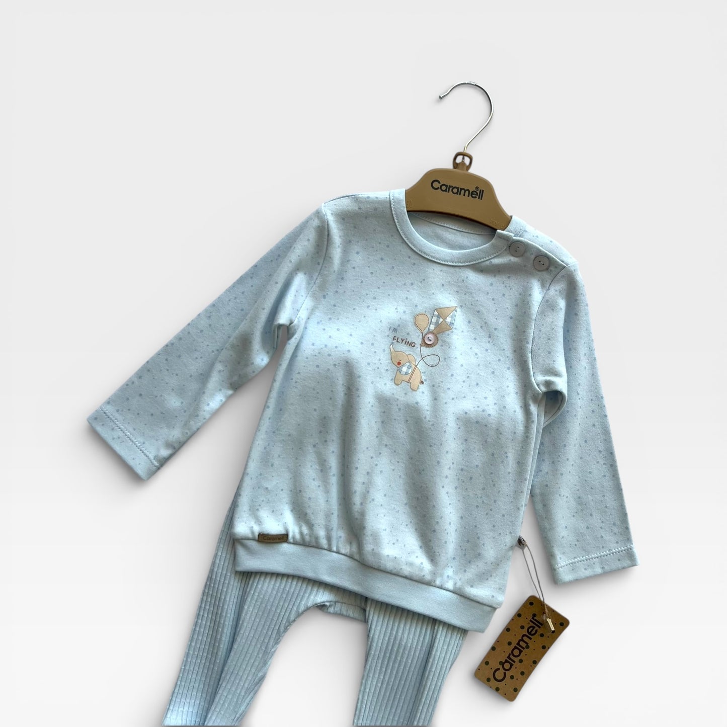 flying elephant set / blue