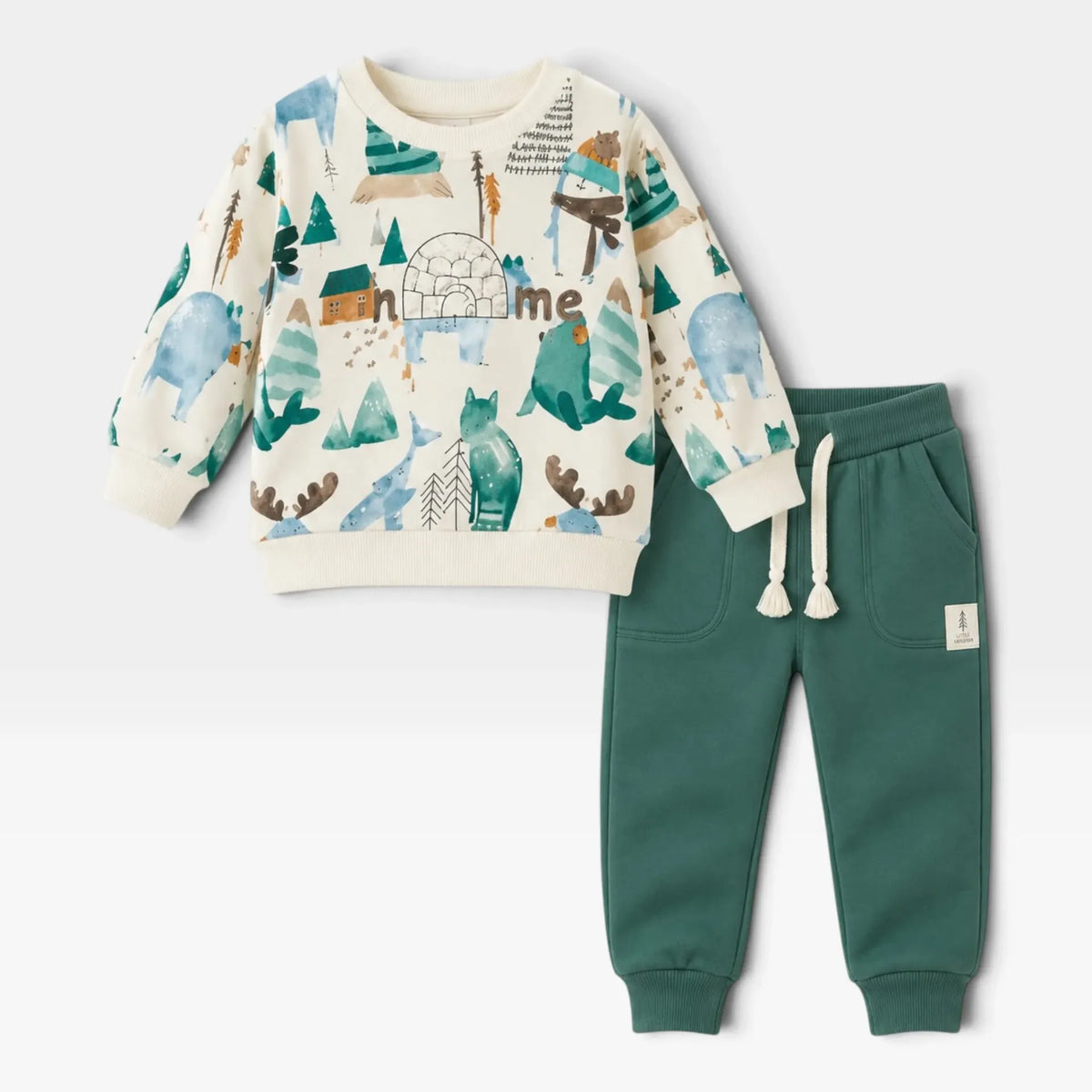 Antarctic Adventure Set - 1