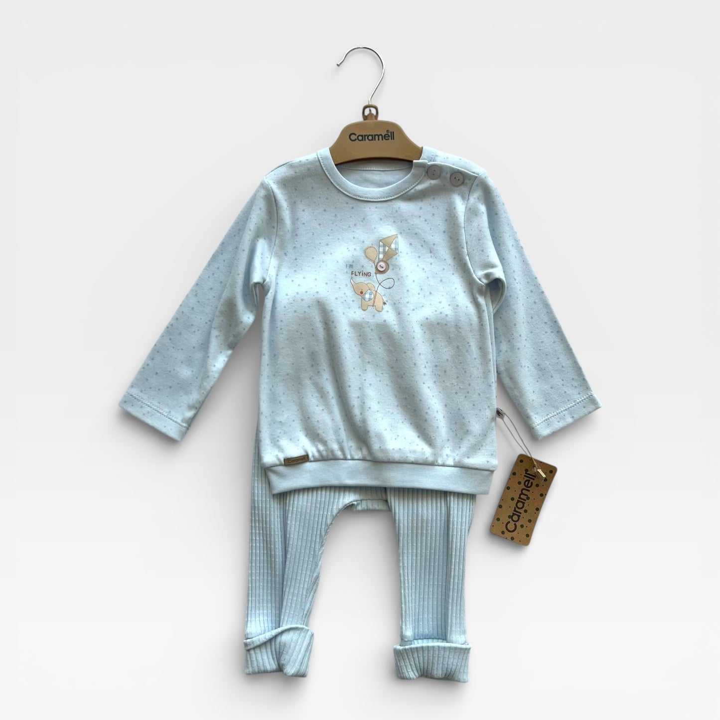 flying elephant set / blue