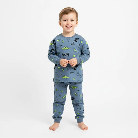 Dragon & Dino Playtime Set